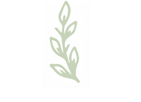 flower & tonic logo